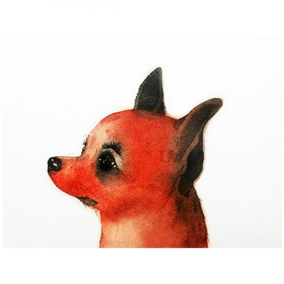 Foxy